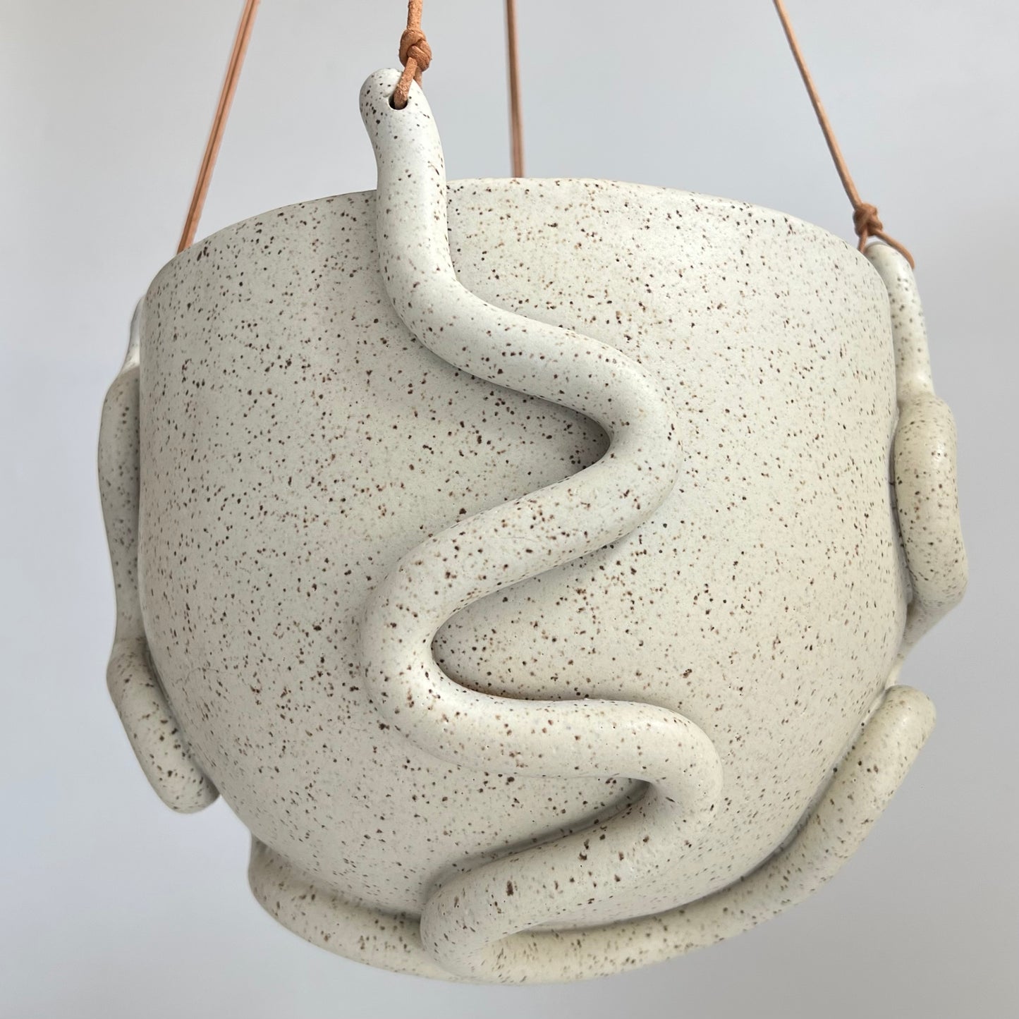 Hanging Planter