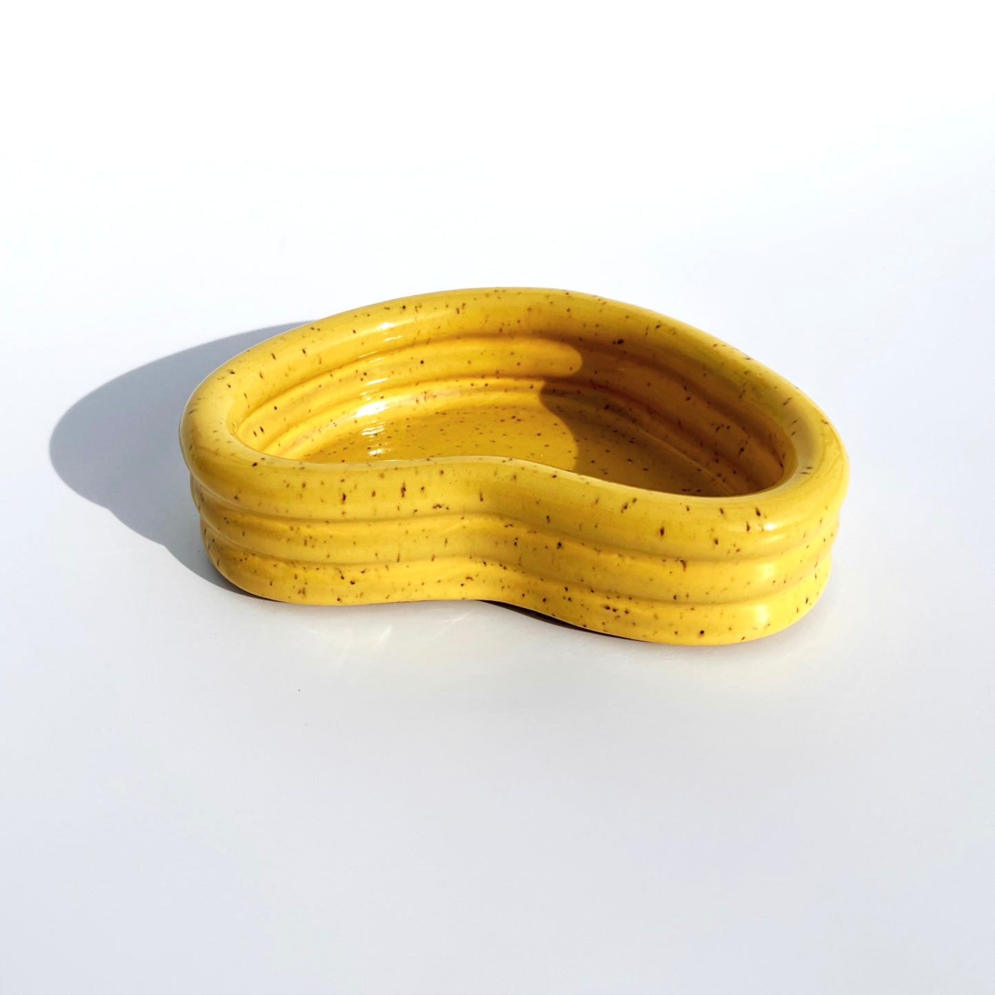 Coil Dish