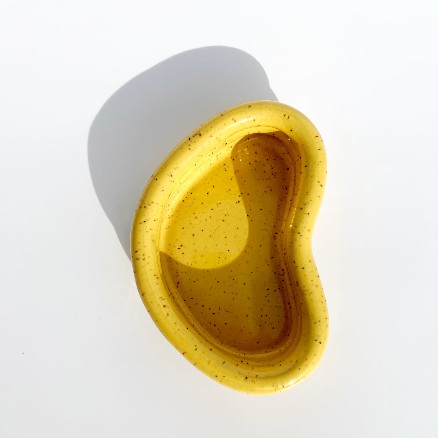 Coil Dish